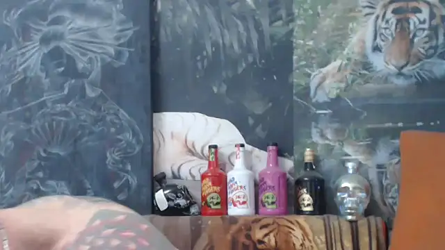 Snapshot of viking_30 chatting on 14, 11, 2025 viking 30 online show from 14, 11, 2025