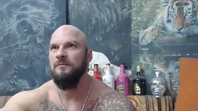 Snapshot of viking_30 chatting on 17, 11, 2025 viking 30 online show from 17, 11, 2025