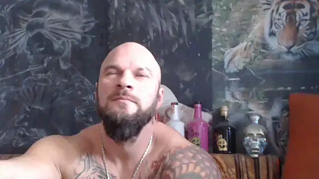 Snapshot of viking_30 chatting on 18, 11, 2025 viking 30 online show from 18, 11, 2025