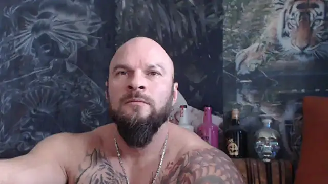 Snapshot of viking_30 chatting on 21, 11, 2025 viking 30 online show from 21, 11, 2025