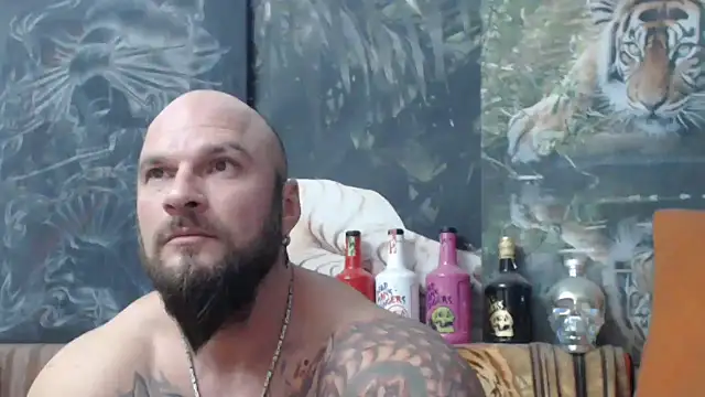 Snapshot of viking_30 chatting on 22, 11, 2025 viking 30 online show from 22, 11, 2025