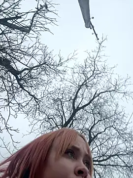 Model9798 online show from 24, 1, 2025