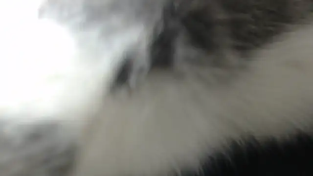 prettyangelsquirt online show from 8, 4, 2026