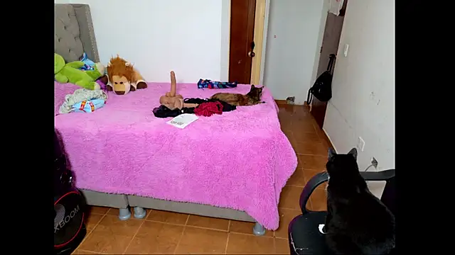 Snapshot of emily_honter chatting on 14, 12, 2025 emily honter online show from 14, 12, 2025