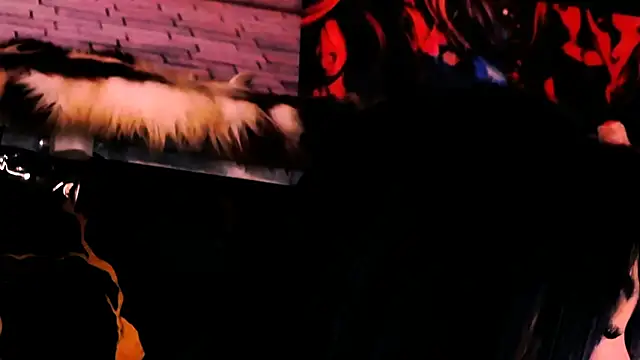 indian dreamgirl online show from 8, 4, 2026