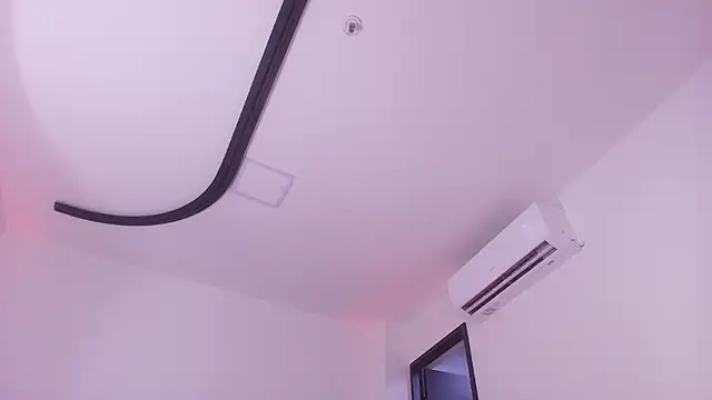 mister miike online show from 3, 2, 2026