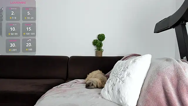 baby alice online show from 14, 1, 2026