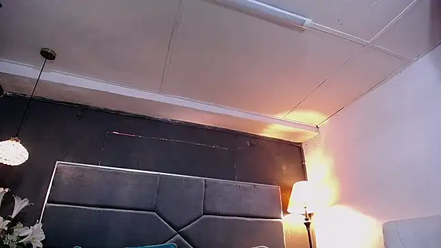 teddyfit19cm online show from 12, 1, 2026