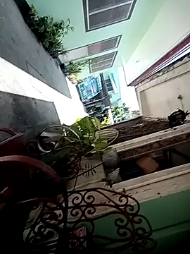 TropicalFlower online show from 16, 10, 2025