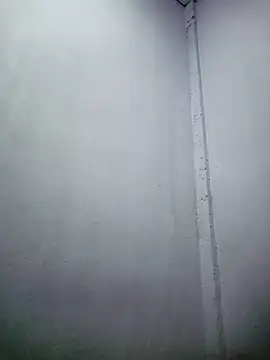 TropicalFlower online show from 16, 12, 2025