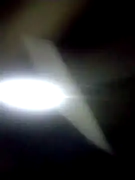 catdool online show from 7, 1, 2026