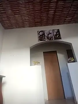 catdool online show from 11, 1, 2026