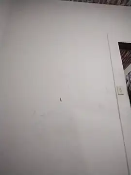 catdool online show from 6, 2, 2026