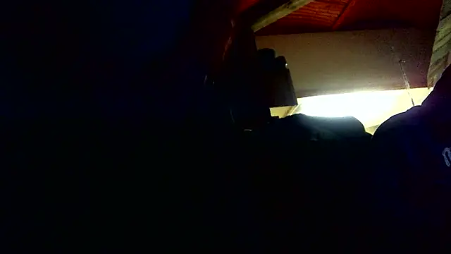 Dalton2288 online show from 26, 2, 2026