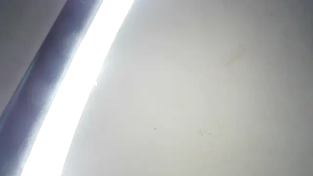 RinsingWood84 online show from 4, 3, 2026