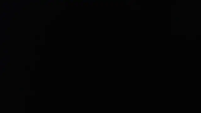 Katze22 online show from 12, 1, 2025