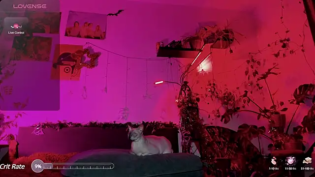 olivecum online show from 20, 1, 2025