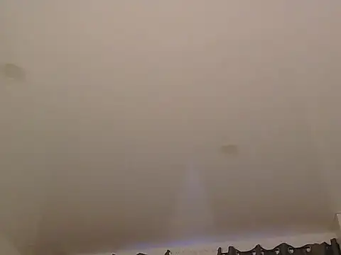 LionEdwin online show from 20, 12, 2025