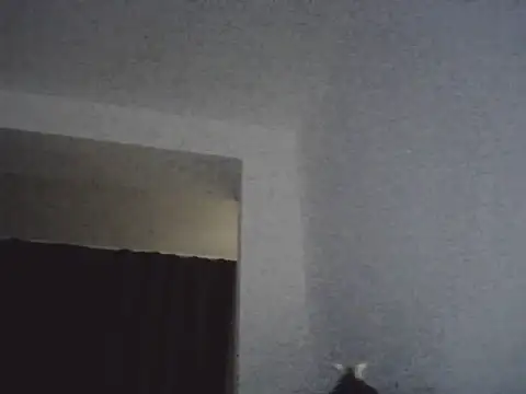 Snapshot of FallenDevil chatting on 13, 3, 2026 FallenDevil online show from 13, 3, 2026