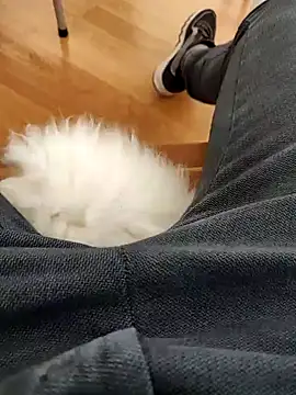 papiculo86 online show from 2, 2, 2025