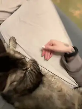 GraceCandy online show from 17, 2, 2025