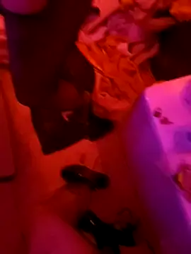 Misspadrona88 online show from 2, 2, 2025