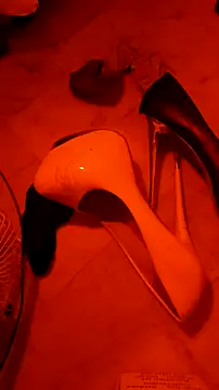 Misspadrona88 online show from 14, 2, 2026