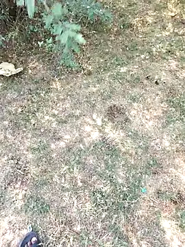 rameshmry1 online show from 29, 3, 2026