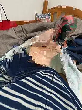 taro-321 online show from 31, 12, 2024