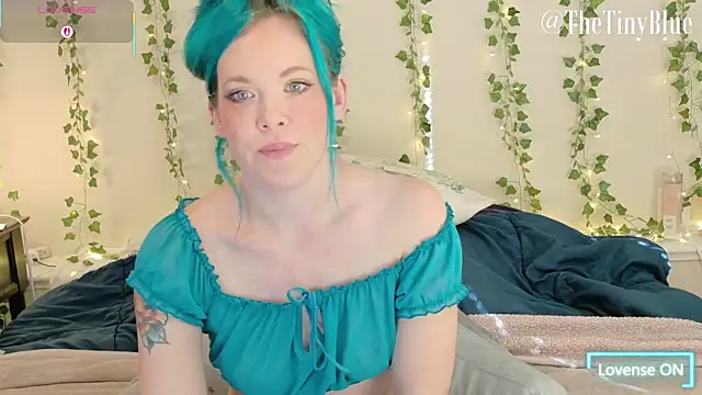 thetinyblue online show from 24, 2, 2026