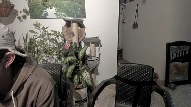 Snapshot of sexnherbs chatting on 14, 5, 2026 sexnherbs online show from 14, 5, 2026
