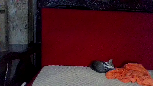 axomen online show from 16, 2, 2025