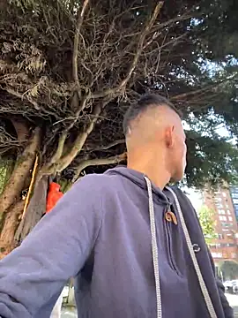 yequeal online show from 3, 12, 2024