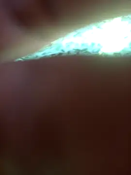 FinableKnee online show from 24, 9, 2025