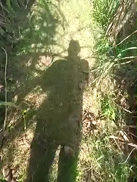 FinableKnee online show from 30, 11, 2025