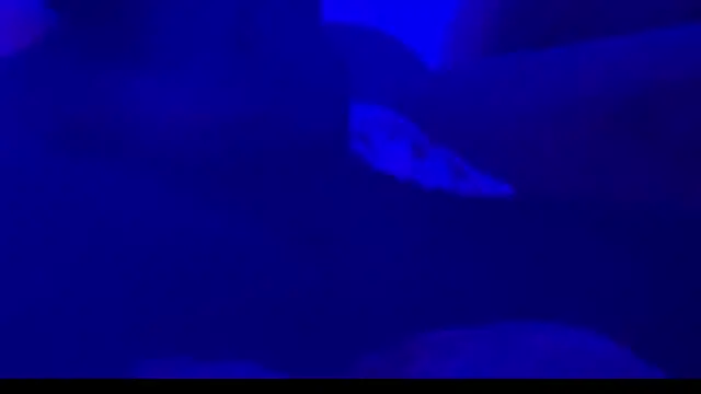 montydxxxx online show from 25, 9, 2025