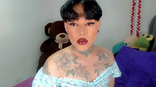 little star porn online show from 19, 11, 2025