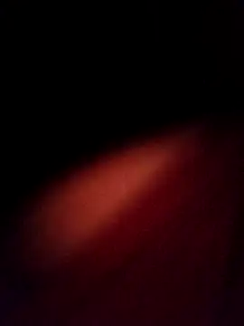 EISONREINA11 online show from 20, 10, 2025