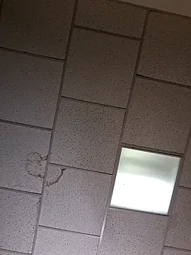 curiouscock38 online show from 26, 10, 2025