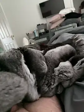 Furdale online show from 30, 10, 2025