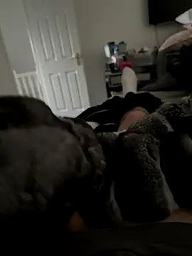 Furdale online show from 7, 11, 2025