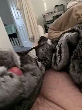 Furdale online show from 17, 2, 2026