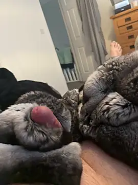 Furdale online show from 1, 4, 2026