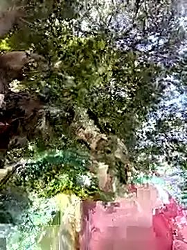 Nicolle Milf online show from 24, 9, 2025