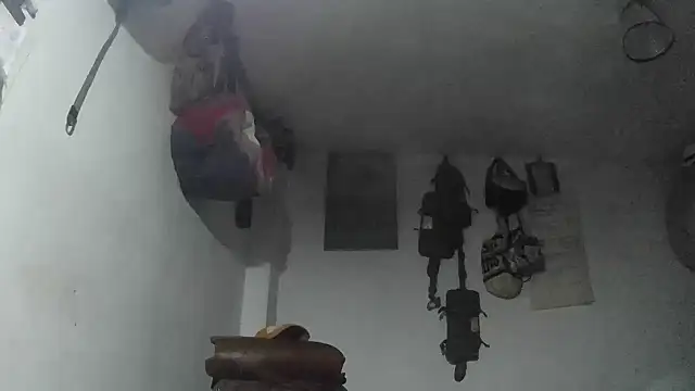 crazylatinguyy online show from 4, 12, 2025