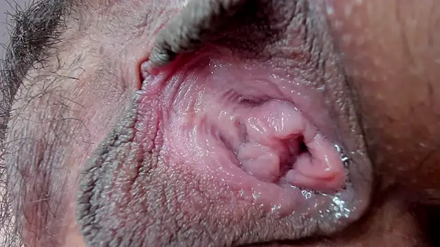 ms pickless online show from 27, 1, 2025