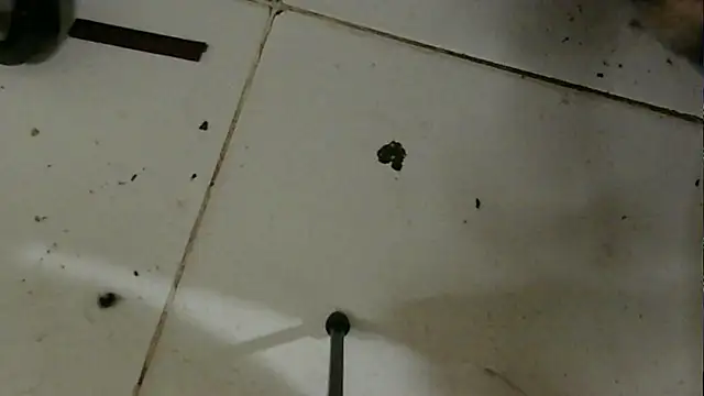 chino roz online show from 19, 2, 2025