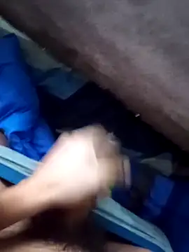 rodovlaz online show from 1, 4, 2026