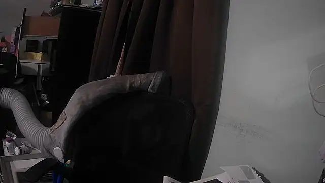 Snapshot of nickytheehawtie chatting on 8, 7, 2026 nickytheehawtie online show from 8, 7, 2026