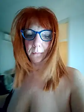 lollipop cat online show from 4, 1, 2025